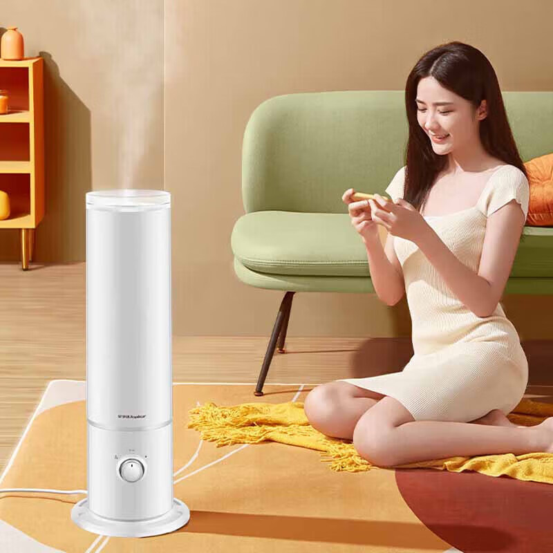 荣事达-落地加湿器 RS-V60F