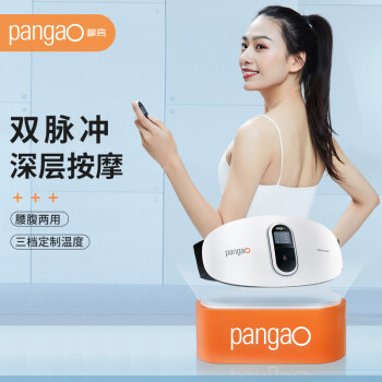 攀高(PANGAO)腰部按摩器 PG-2645 腰椎按摩仪 热敷护腰带 充电版