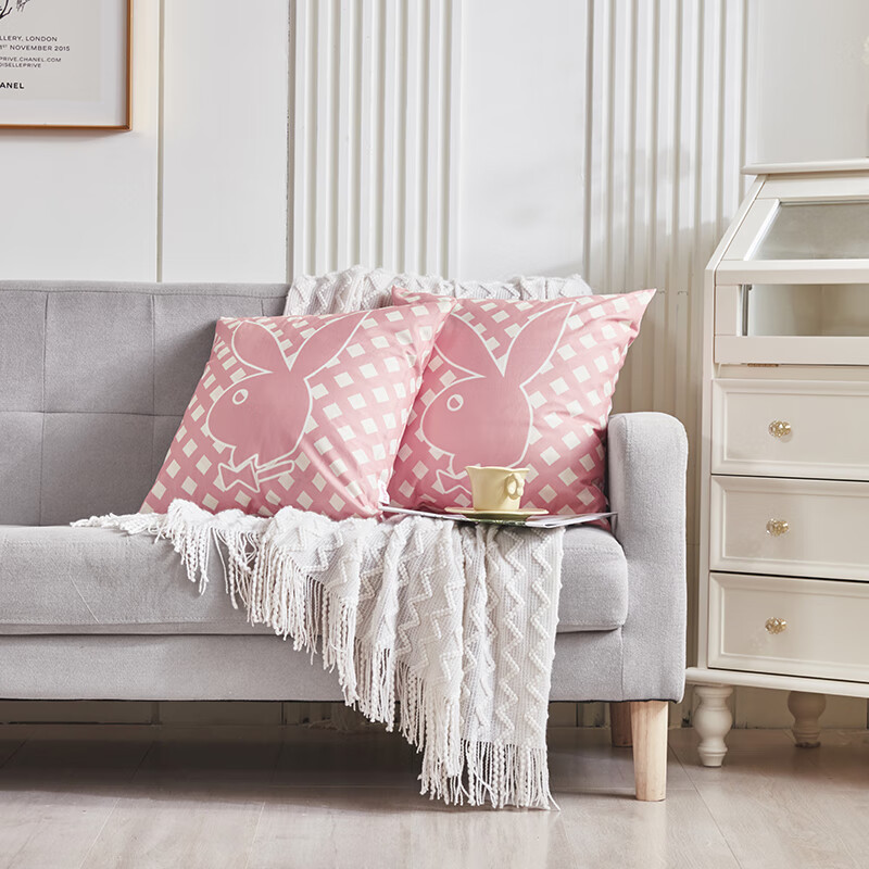 花花公子专版抱枕（1只装） HBZTN01 45*45cm