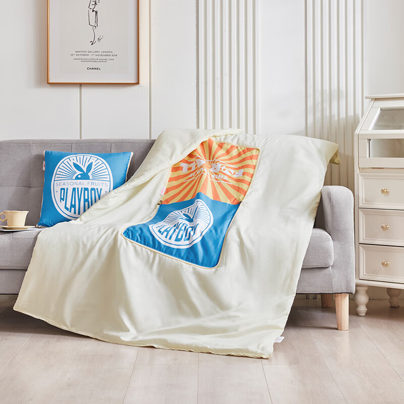 花花公子专版抱枕被 HBZB03